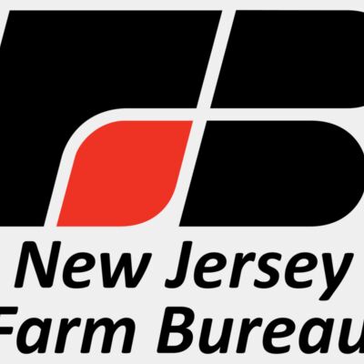 NJFB: Double Vertical Logo (Dark) Thumbnail