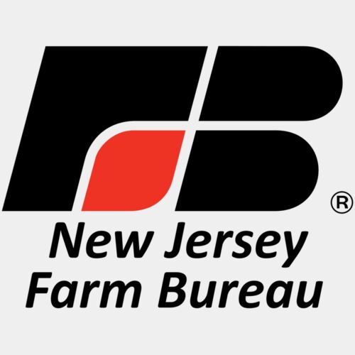 NJFB: Double Vertical Logo (Dark) Thumbnail