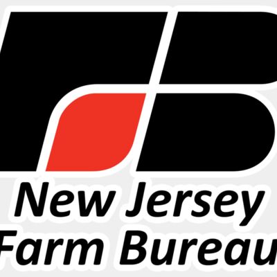 NJFB: Double Vertical Logo (Light) Thumbnail