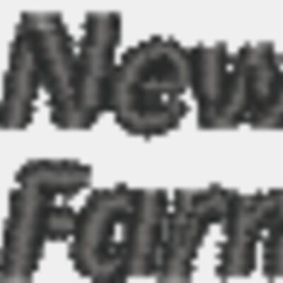 NJFB: Double Horizontal Logo (Dark) Thumbnail