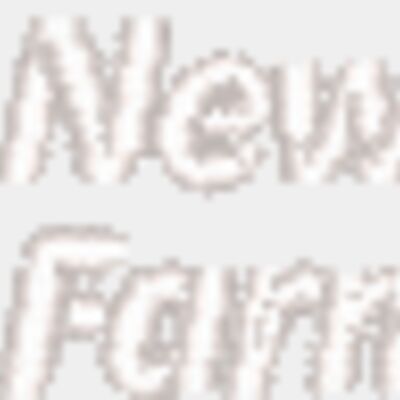 NJFB: Double Horizontal Logo (White) Thumbnail